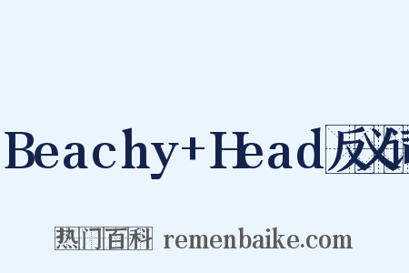 Beachy+Head反义词是什么意思的图片